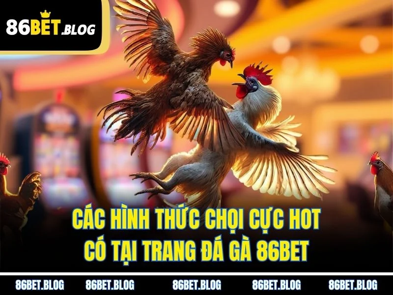 Các hình thức chọi cực hot có tại trang đá gà 86BET