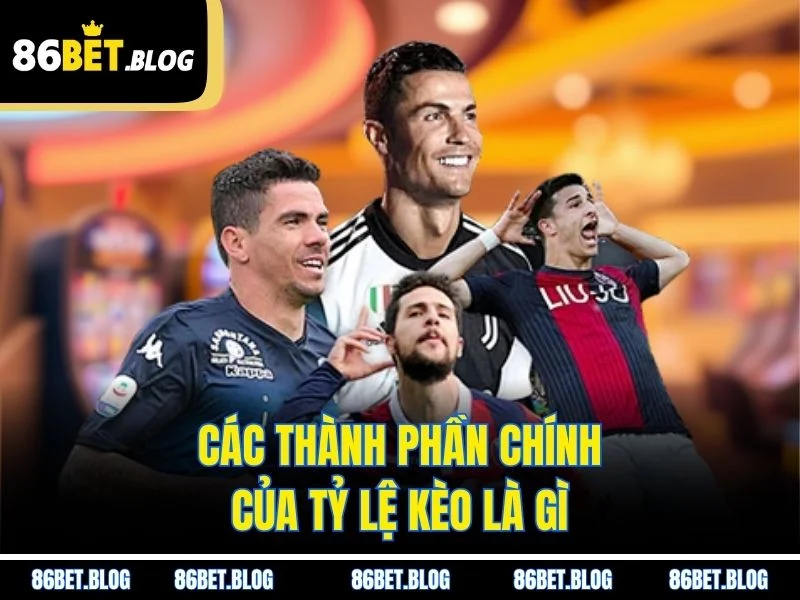 Các thành phần chính của tỷ lệ kèo là gì