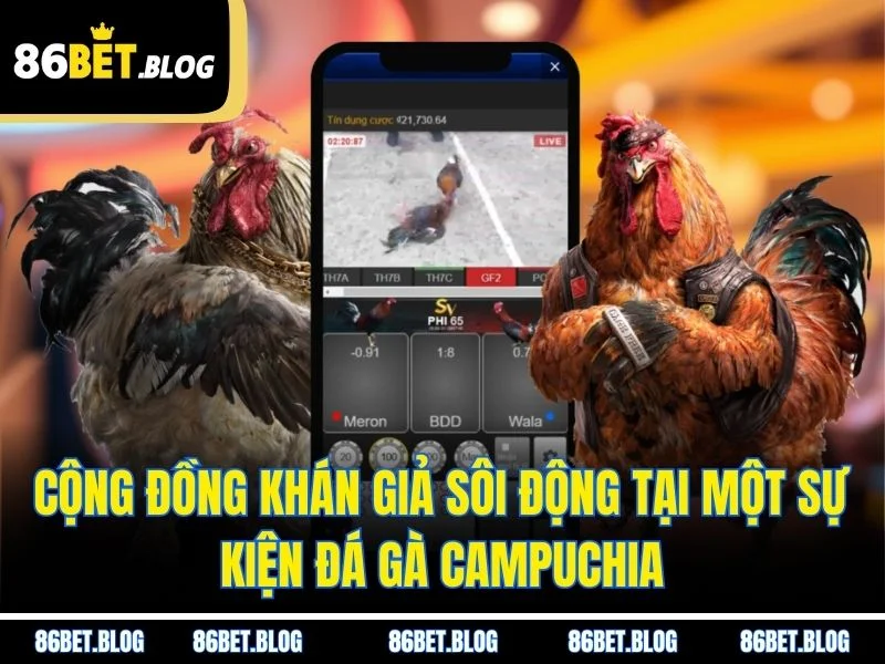 Cộng đồng khán giả sôi động tại một sự kiện đá gà Campuchia