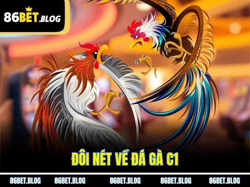 Đôi nét về đá gà C1