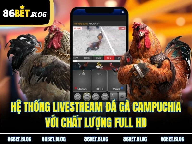 Hệ thống livestream đá gà Campuchia với chất lượng full HD