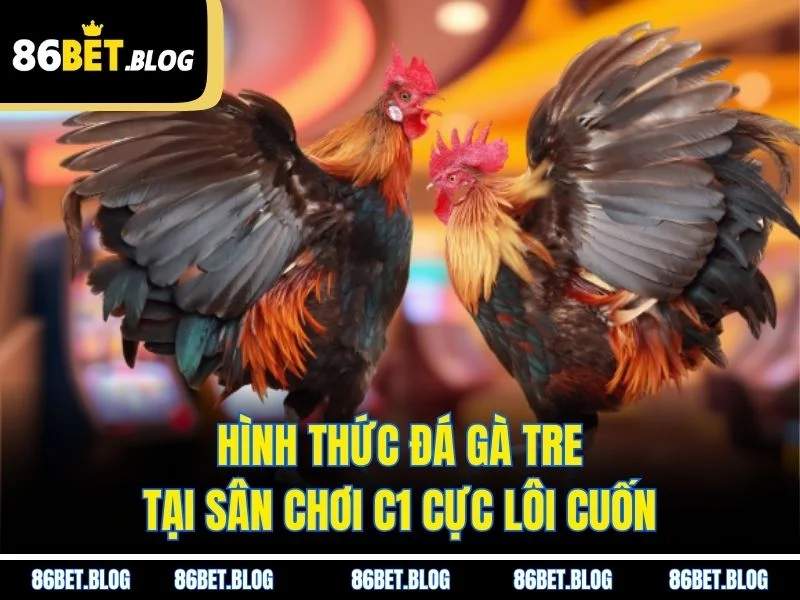 Hình thức đá gà tre tại sân chơi C1 cực lôi cuốn