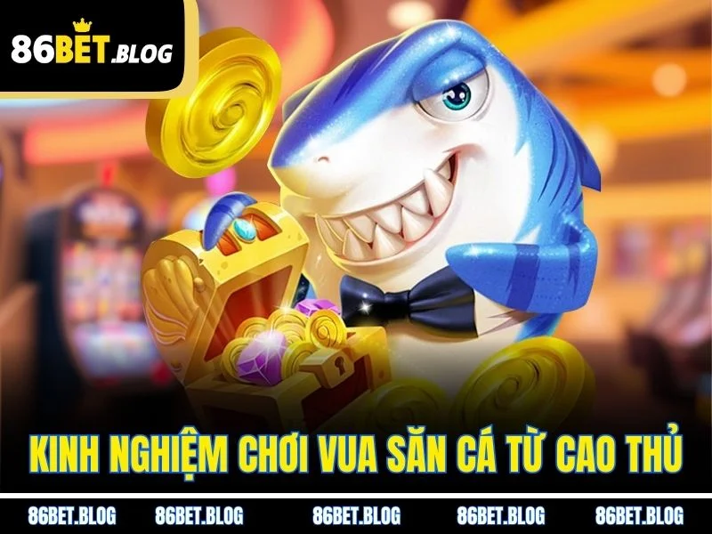 Kinh nghiệm chơi vua săn cá từ cao thủ