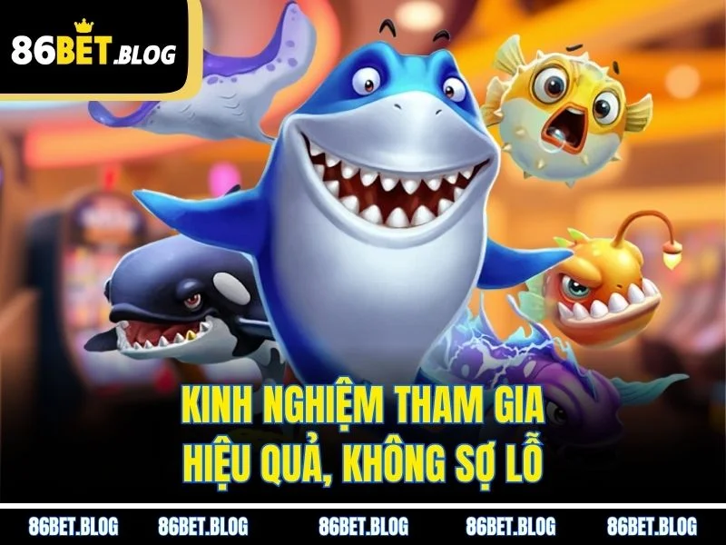 Kinh nghiệm tham gia hiệu quả, không sợ lỗ