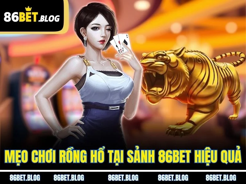 Mẹo chơi rồng hổ tại sảnh 86BET hiệu quả