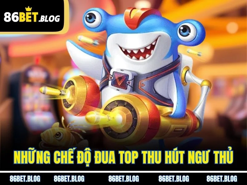 Những chế độ đua top thu hút ngư thủ
