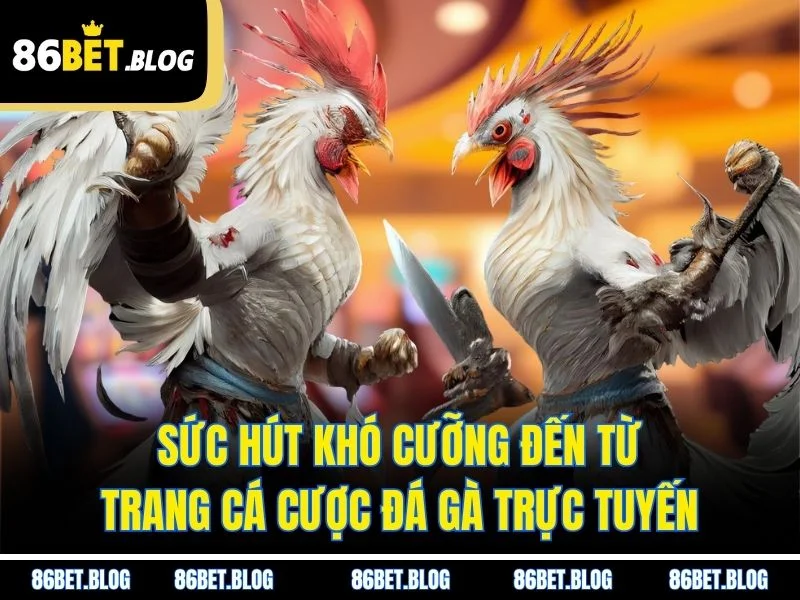 Sức hút khó cưỡng đến từ trang cá cược đá gà trực tuyến